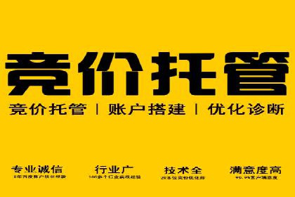 SEM网络推广实战案例：如何实现快速转化